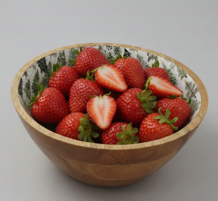 Mango Wood Evergreen Forest Serving Bowl