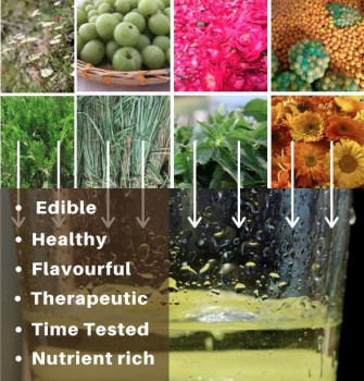 Why Choose Organic Ayurvedic Drinks