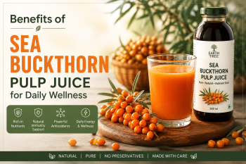 Benefits of Sea Buckthorn Pulp Juice for Daily Wellness