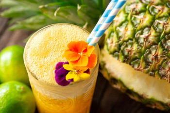 Healthy Living with Herbal Wellness Drinks