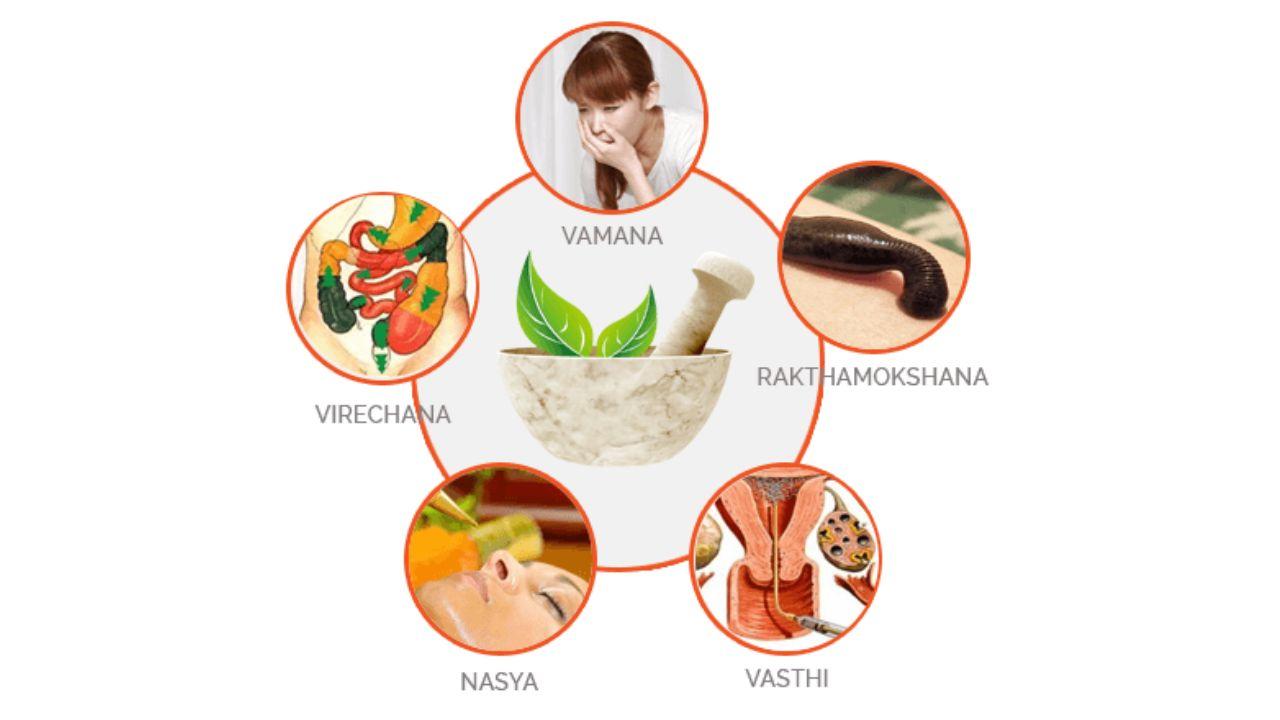 https://img.developmentbucket.com/userfiles/media/anamayaayurvedalya/default/5-pradhana-karmas.jpg