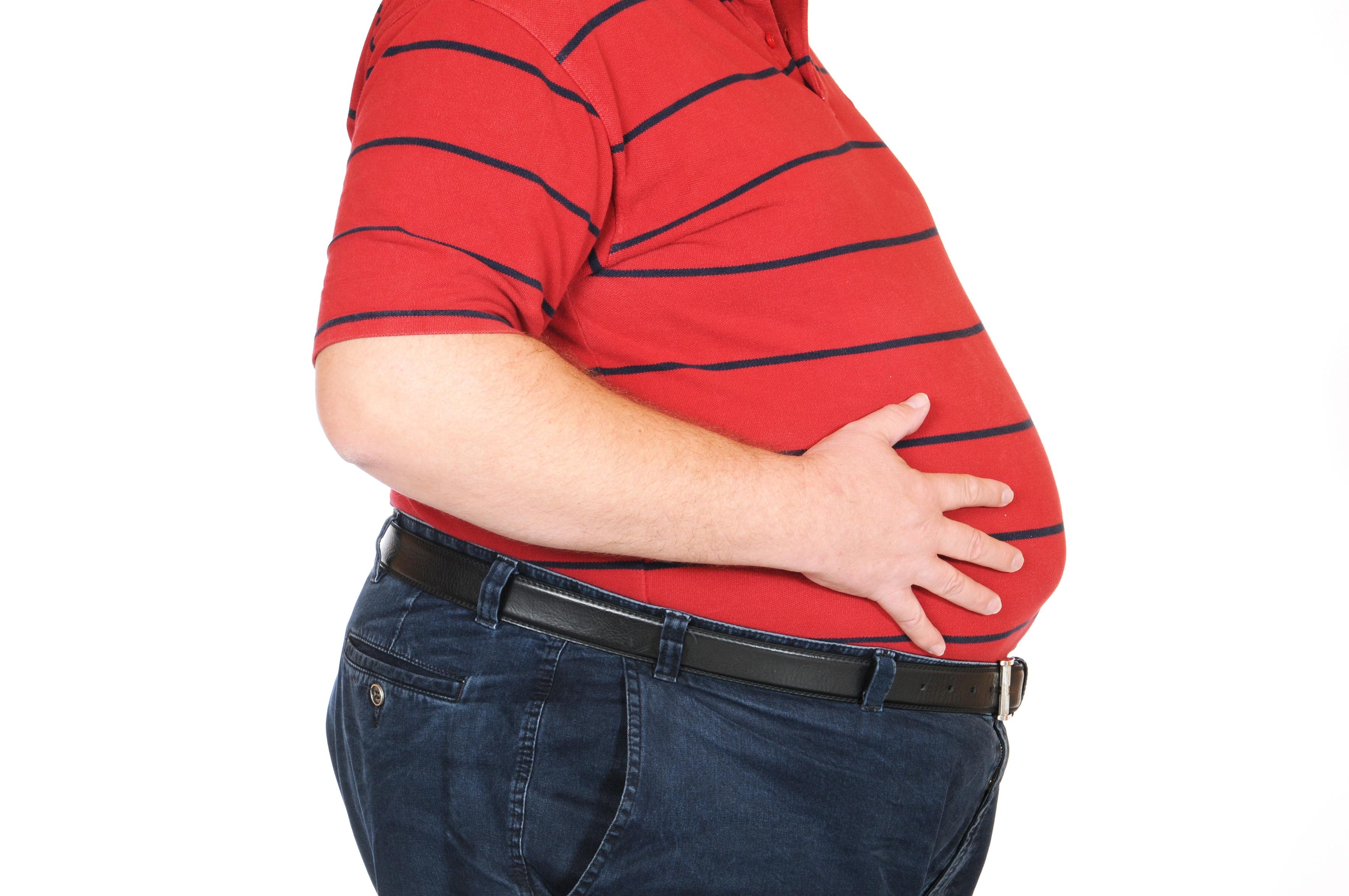 Herbal care for obesity and weight problems