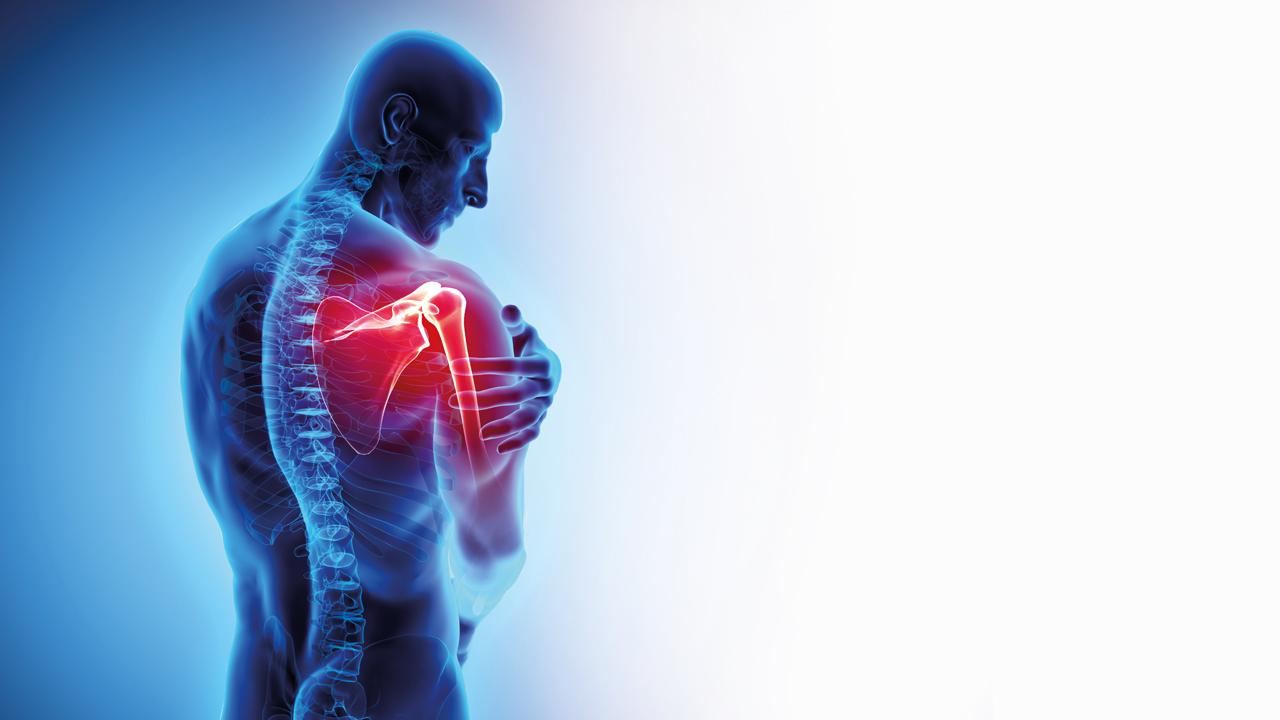 Herbal support for joint, muscle and bone problems