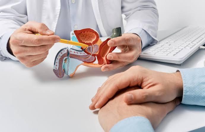 Herbal support for prostate enlargement and prostatitis