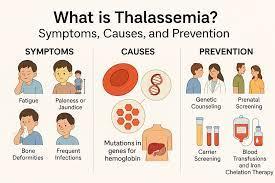 Treatment of Thalassemia illustration