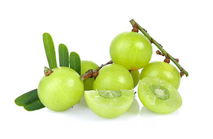 Amalaki Indian Gooseberry