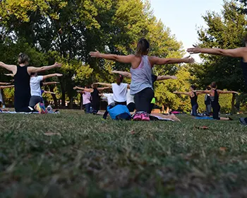 300 Hour Yoga Teacher Training in Rishikesh