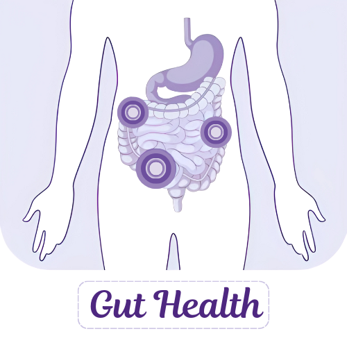 Gut Health
