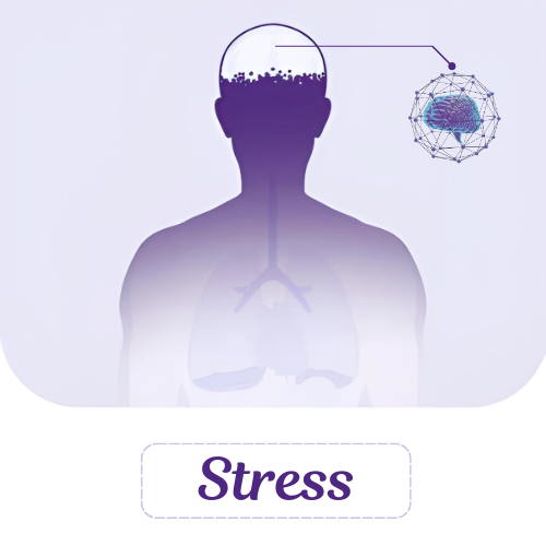 Stress